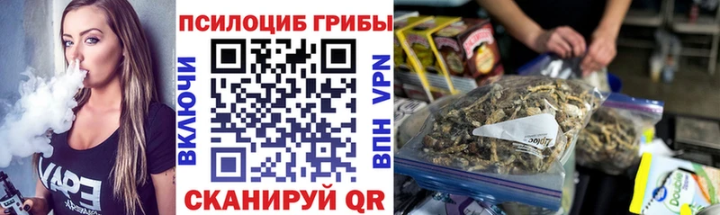 Псилоцибиновые грибы Psilocybe  где можно купить наркотик  Краснозаводск 